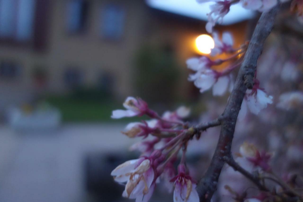 Agriturismo L'Antico Sapore Baraggia di Boca 外观 照片